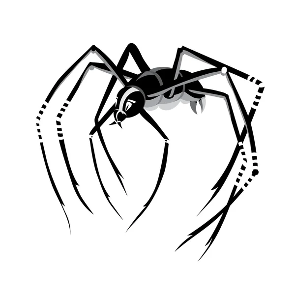 Araña negra — Archivo Imágenes Vectoriales