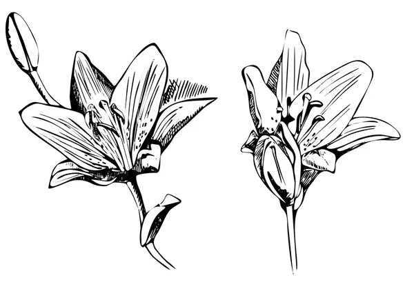 Soyut çiçek arkaplanı — Stok Vektör