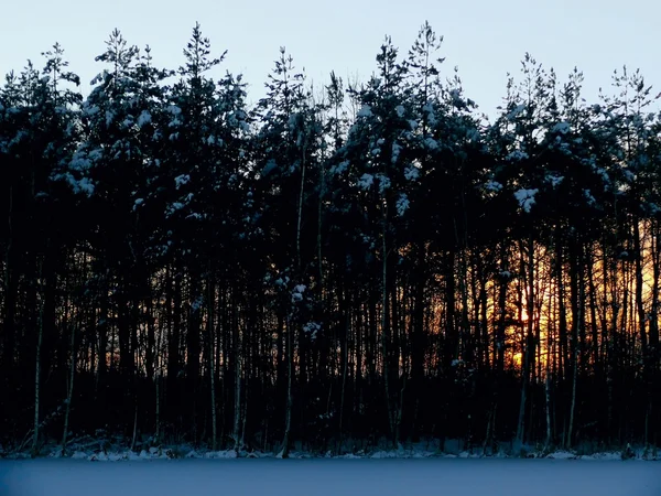 Amanecer de invierno . —  Fotos de Stock