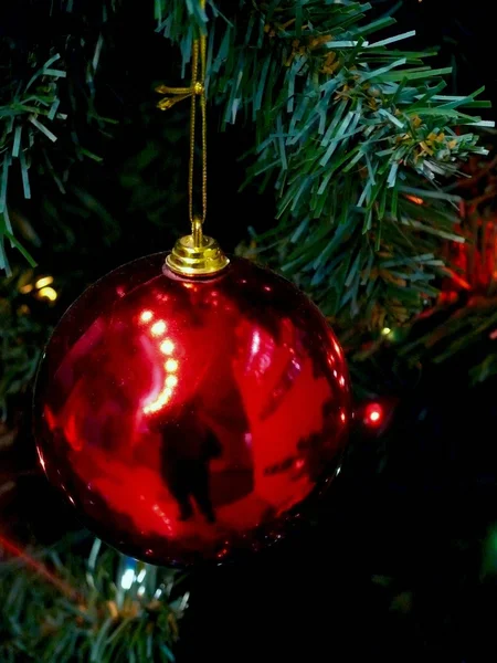 Christmas-tree. New Year. — Stock Photo, Image