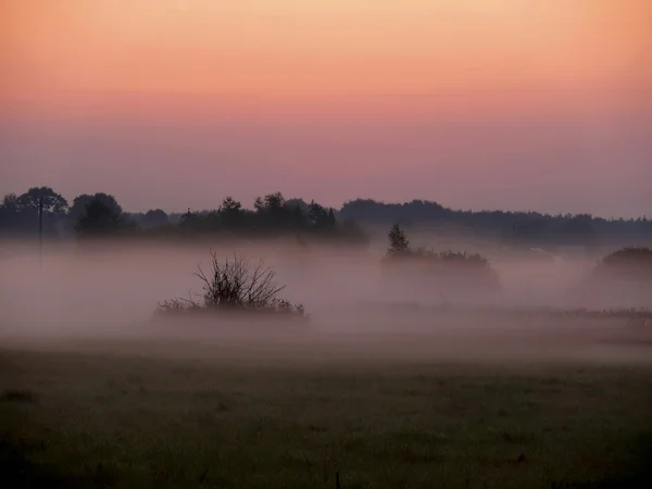 Mlha. ráno. — Stock fotografie
