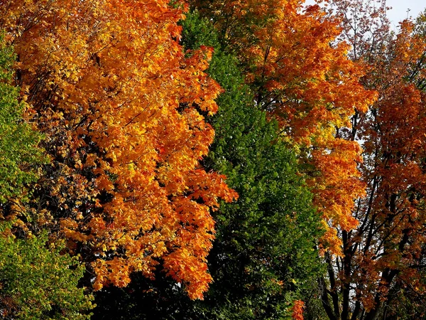 가을 풍경. — 스톡 사진