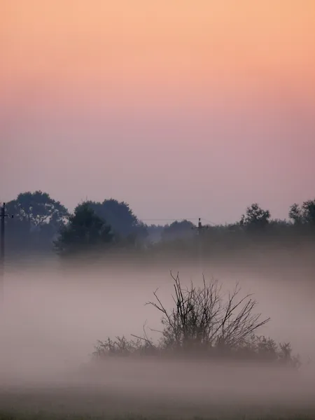 Nebel. — Stockfoto