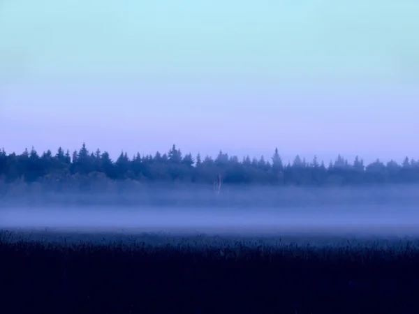 Mgła. rano. — Zdjęcie stockowe