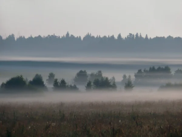 Fog. Morning. — Stock Photo, Image