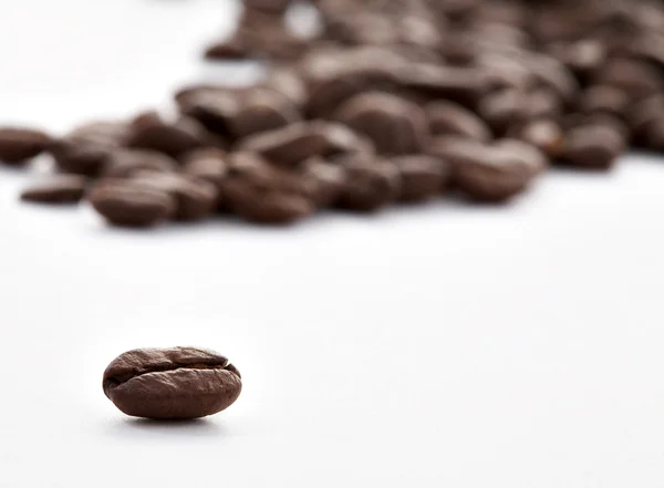 Brown grains of coffee on a white backgr — Stock Photo, Image