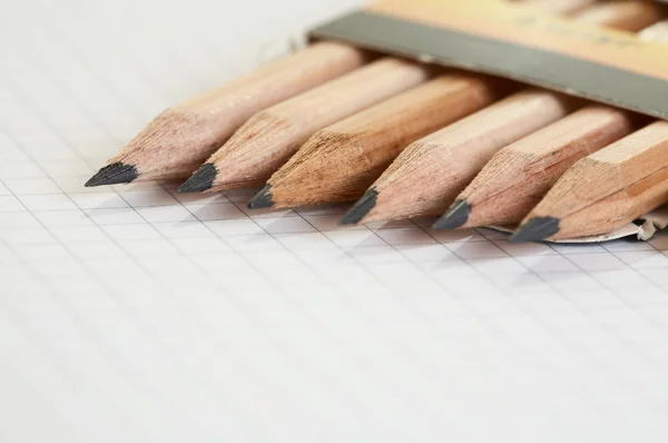 Sor ceruzával egy dobozban — Stock Fotó