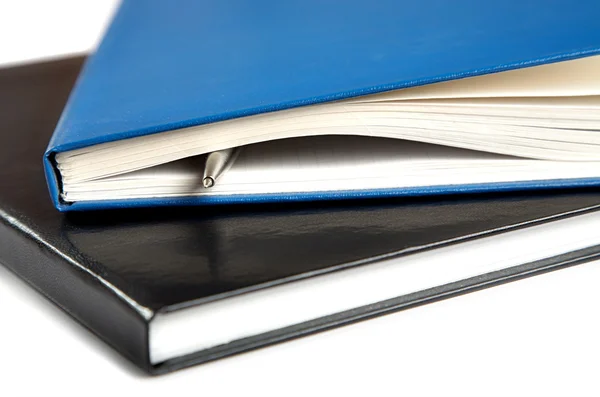 Två tjocka skrift-böcker med en penna — Stockfoto
