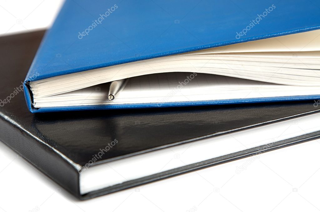 Two thick writing-books with a pen