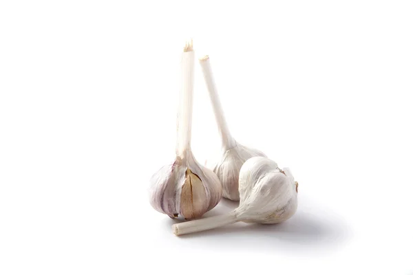 Bunch garlic isolated — Stock Photo, Image