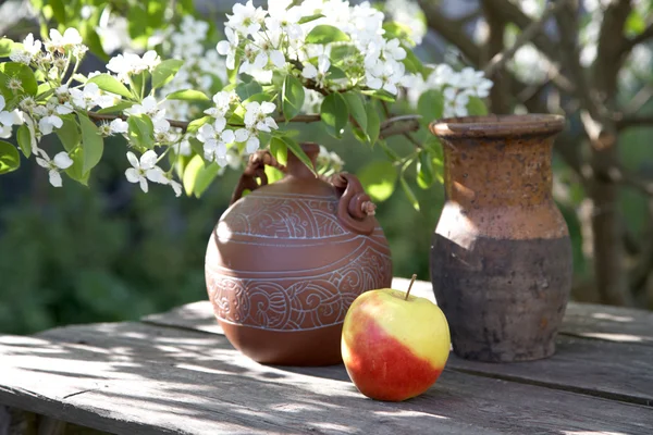 Coppe una mela e un albero fiorente — Foto Stock
