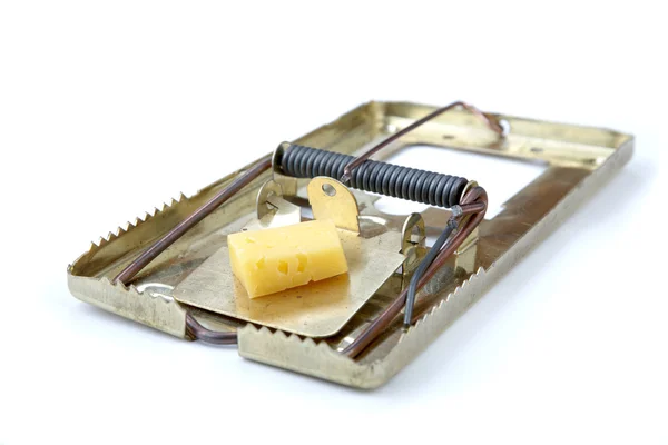 Metallic mousetrap with cheese — Stock Photo, Image