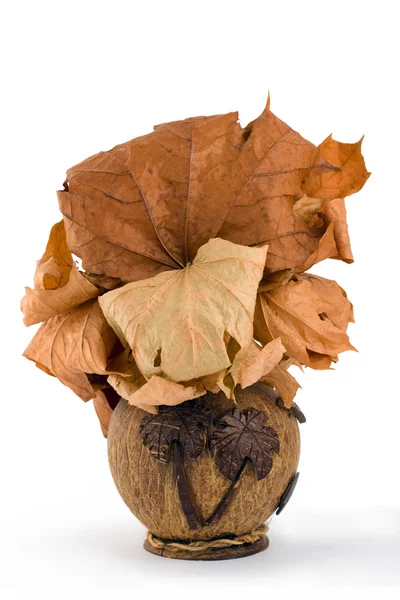 ココナッツの花瓶 — ストック写真