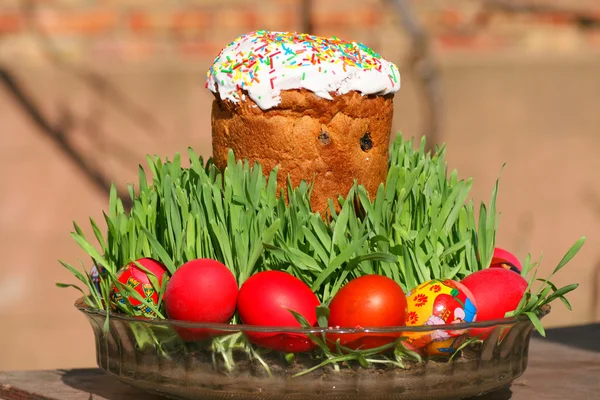 Húsvéti torta — Stock Fotó