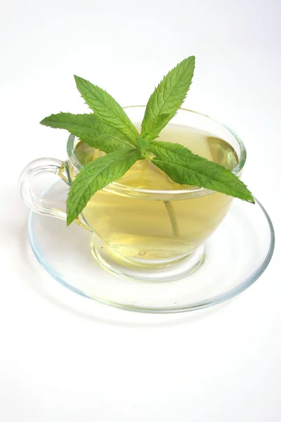 Cup of herbal tea — Stock Photo, Image