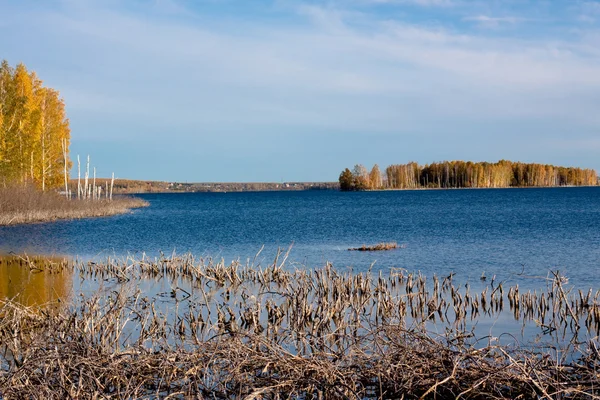 Złotej jesieni jeziora — Zdjęcie stockowe