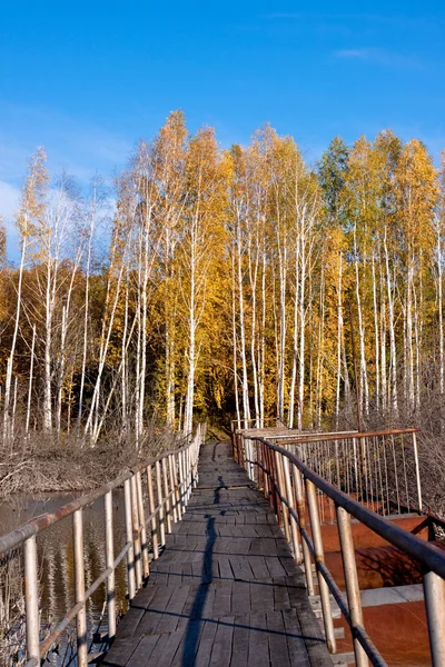 Golden fall bridge — Stock Photo, Image