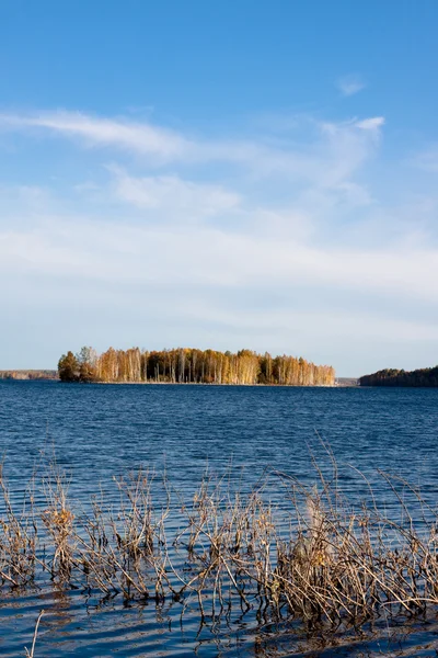 Lago d'autunno dorato — Foto Stock