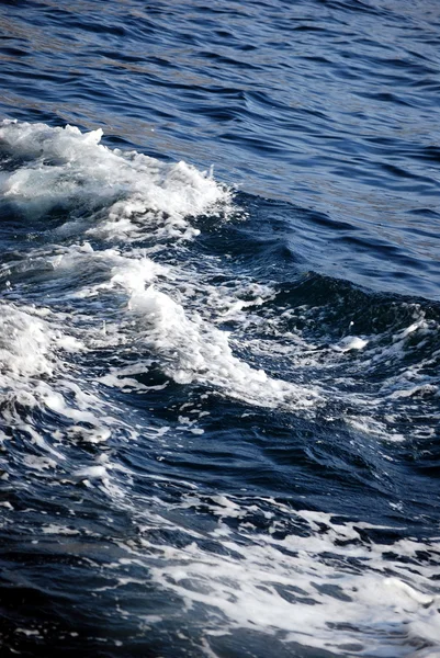 stock image Raging wave of Black sea