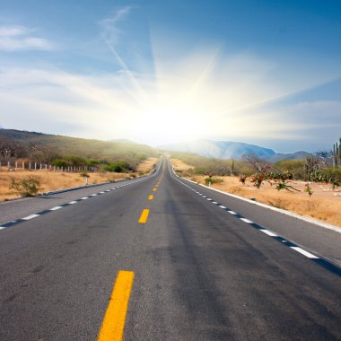 Road to sun. Square clipart