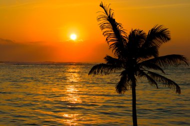 Tropical sunset scene clipart