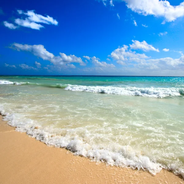 美しいビーチと海 — ストック写真