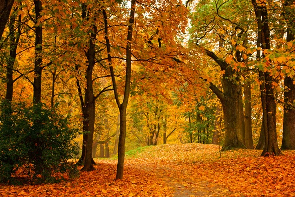 Осенняя долина — стоковое фото