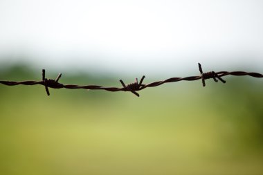 Barbed wire on blurred background clipart