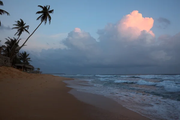 Закат на тропическом пляже — стоковое фото