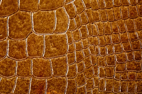 Pink Crocodile Skin Texture Stock Photo, Picture and Royalty Free Image.  Image 32057557.