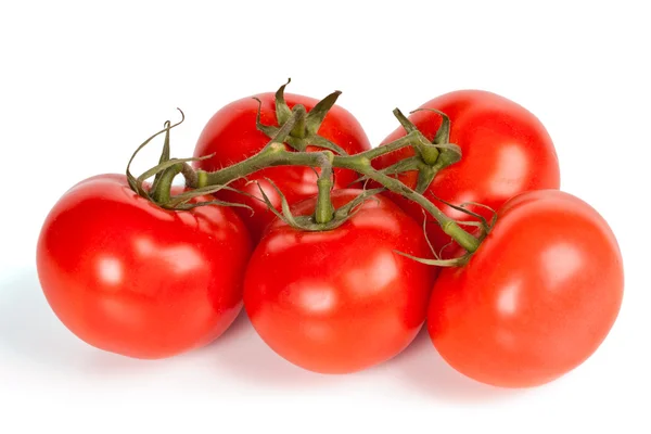 Pobočka rajčat, samostatný — Stock fotografie