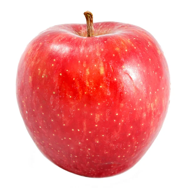 Red apple isolated — Stock Photo, Image