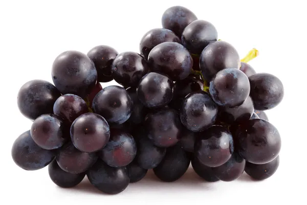 Ramo de uvas negras aisladas — Foto de Stock