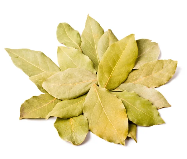 Mucchio di foglie di alloro isolato — Foto Stock