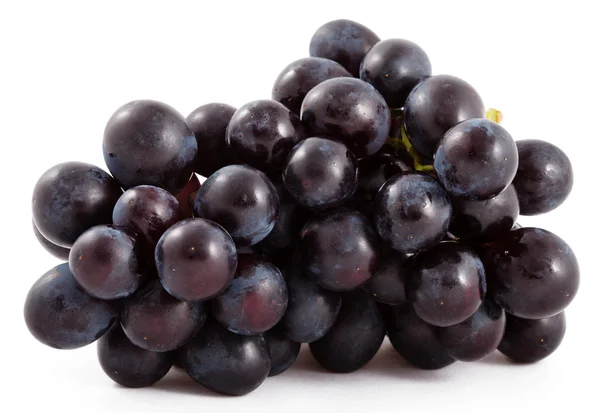 stock image Bunch of black grapes isolated