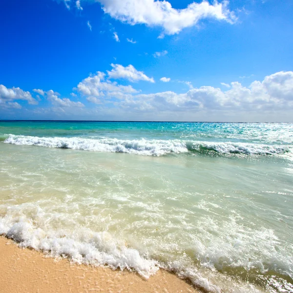 아름다운 해변 과바다 — 스톡 사진