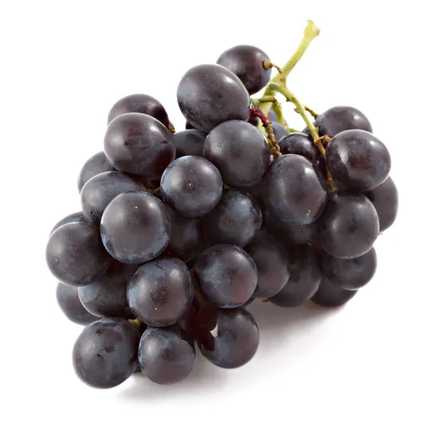 Ramo de uvas negras aisladas — Foto de Stock