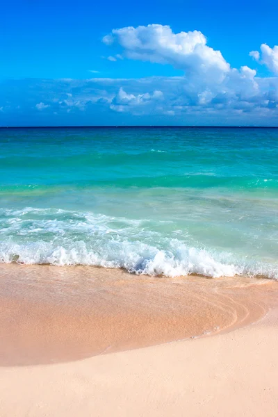 Belle plage et mer — Photo