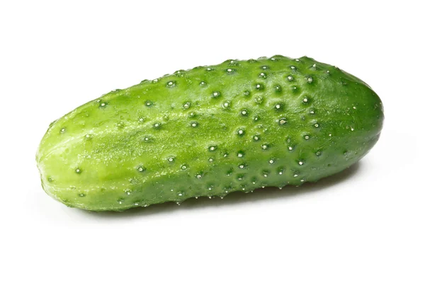 Groene komkommer geïsoleerd — Stockfoto