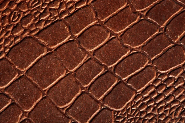 Textura de piel de cocodrilo — Foto de Stock