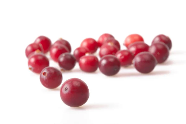 Background of frozen cranberries — Stock Photo, Image