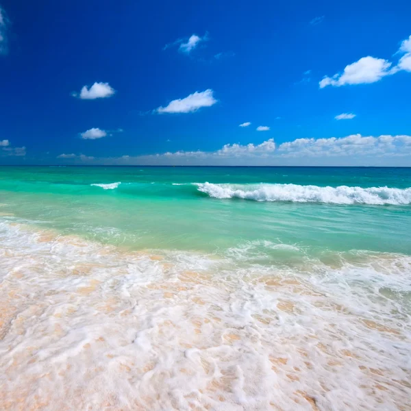 Vacker strand och hav — Stockfoto