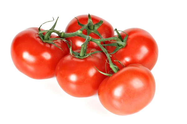 Zweig von Tomaten isoliert — Stockfoto