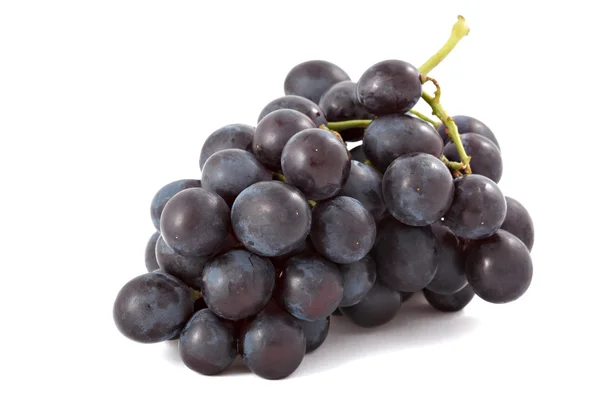 Bunch of black grapes isolated — Stock Photo, Image