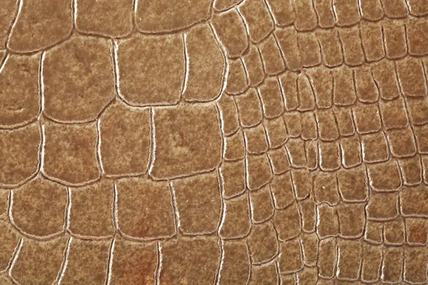 stock image Crocodile skin texture