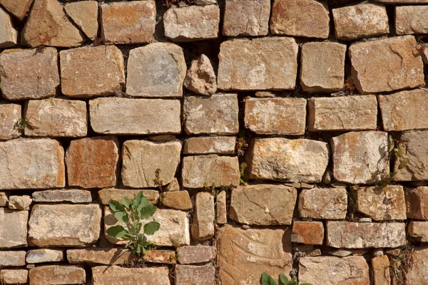 Steinmauer aus Maya-Ruinen — Stockfoto