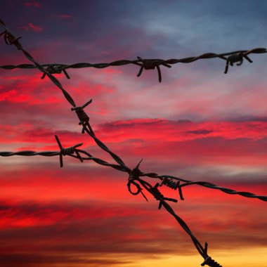 Barbed wire in sunset sky clipart