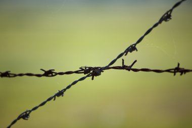 Bulanık arkaplanda dikenli tel