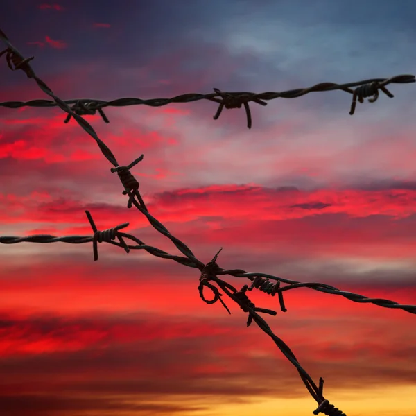 在落日的天空中带刺铁丝网 — 图库照片