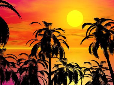 gün batımı palm